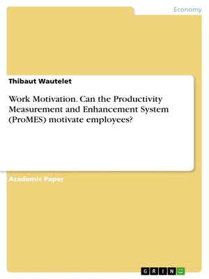 cover image of Work Motivation. Can the Productivity Measurement and Enhancement System (ProMES) motivate employees?